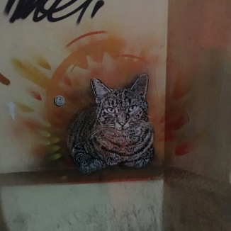 Even the graffiti displays their love of Cats.