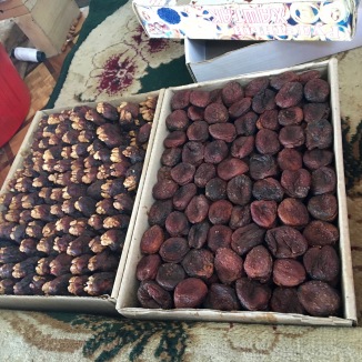 These dried apricots stuffed with walnuts (left) would cost so much at home. I may have to fly to Samarkand for all my future dried fruit needs.